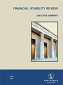 Cover for Financial Stability Review Executive Summary for 2025